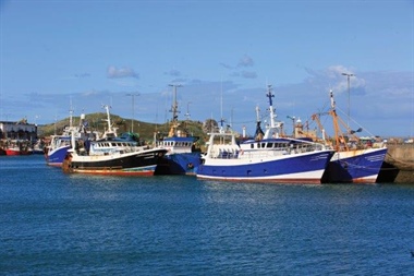 Master of Fishing Vessel Pleads Guilty to Sea-Fisheries Offences of Logbook Under-Recording and Landing in a Non-Designated Port