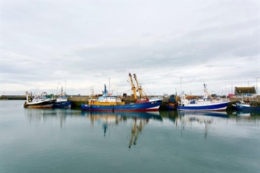 Master of French Fishing Vessel Convicted of Illegal Fishing Activity